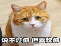 海口琼山五兴家禽饲料店