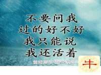海口琼山五兴家禽饲料店
