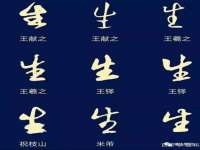 海口琼山五兴家禽饲料店