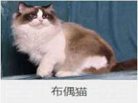 海口琼山五兴家禽饲料店