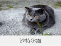 海口琼山五兴家禽饲料店