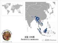 海口琼山五兴家禽饲料店