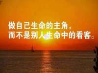 海口琼山五兴家禽饲料店