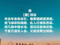 海口琼山五兴家禽饲料店
