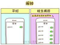 海口琼山五兴家禽饲料店