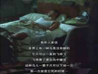 海口琼山五兴家禽饲料店