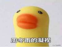 海口琼山五兴家禽饲料店