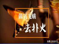 海口琼山五兴家禽饲料店