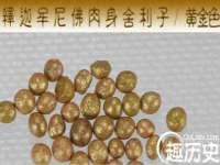 海口琼山五兴家禽饲料店